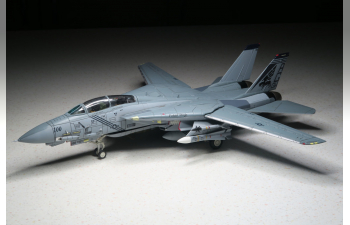 Grumman F-14B Tomcat Diecast Model USN VF-143 Pukin Dogs AG100 NAS Oceana VA 2005 (Wings of Heroes)