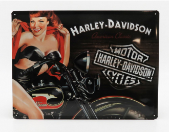 ACCESSORIES 3d Metal Plate - Harley Davidson American Classic Biker Babe, Black Orange