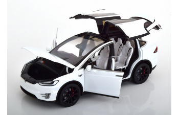 TESLA Model X P100D, white-metallic