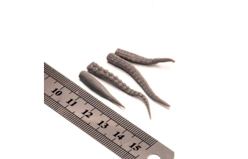 Молд щупальца тип1, размер S