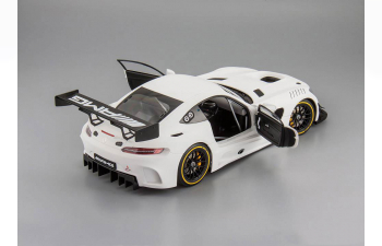 MERCEDES-BENZ AMG GT3 2015 plain body version, matt white