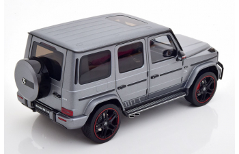 MERCEDES-BENZ AMG G63 W463 (2019), matt grau-metallic