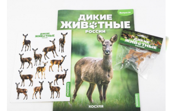 Дикие животные России № 14: Косуля