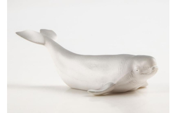 Дикие животные России № 33: Белуха