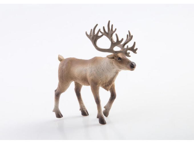 Дикие животные России № 2: Северный олень (только вложение)