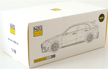 MERCEDES-BENZ AMG A 45 S 4Matic+, matt green-metallic /black-yellow