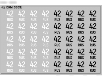 Набор декалей Дублирующие знаки России Кемеровская область (100х70)