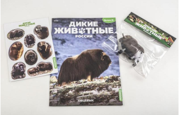 Дикие животные России № 31: Овцебык