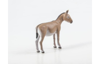 Дикие животные России № 25: Кулан (только вложение)