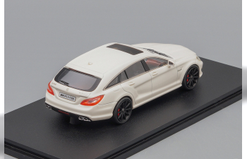 MERCEDES-BENZ CLS63 AMG Shooting Brake Х218 (2014), white