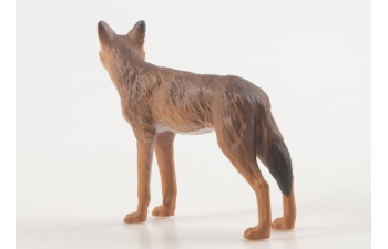 Дикие животные России № 32: Шакал