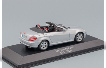 MERCEDES-BENZ SLK-Classe Cabrio R171 (2004), silver