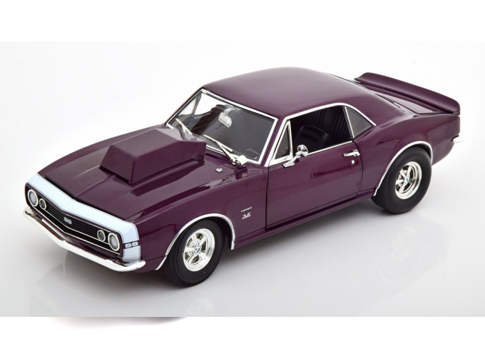 CHEVROLET Camaro (1967), violett