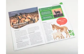 Дикие животные России № 25: Кулан