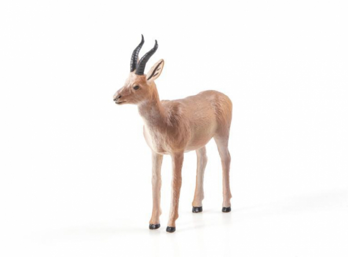 Дикие животные России № 17: Джейран (только вложение)