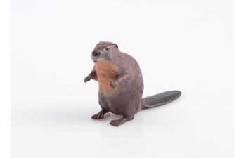 Дикие животные России № 8: Бобр