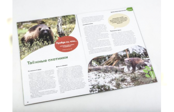 Дикие животные России № 15: Росомаха