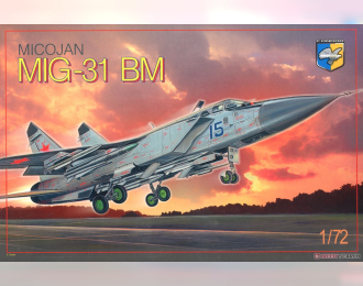 Сборная модель MiG-31 BM 'Foxhound' Soviet interceptor