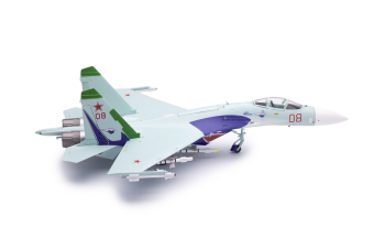 Sukhoi SU-27 Russian Air Force Lipetsk Shark