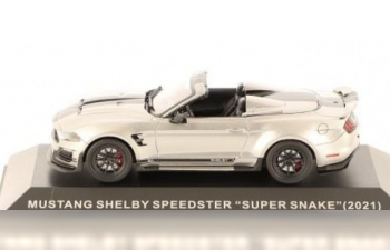 FORD Mustang SHELBY speedster "super snake" (2021), Ford Mustang 18