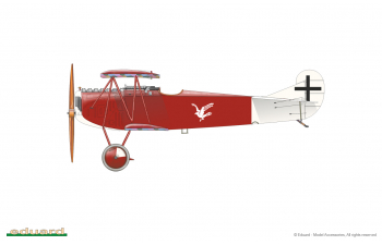 Fokker D.VII OAW late