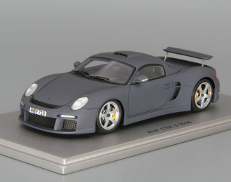 PORSCHE CTR 3 RUF (2008), grey mat