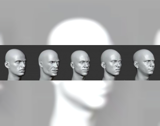 Головы (без волос) №27