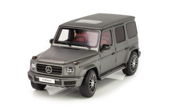 MERCEDES-BENZ W463 G-Klasse W463 II (2018), designo platinum magno