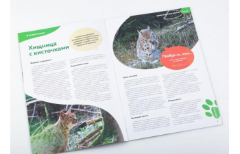 Дикие животные России № 9: Рысь