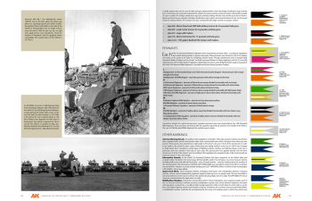 Книга Машины Польской 1-й Бронетанковой Дивизии - Руководство по камуфляжу / VEHICLES OF THE POLISH 1ST ARMOURED DIVISION – CAMOUFLAGE PROFILE GUIDE