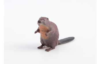 Дикие животные России № 8: Бобр (только вложение)