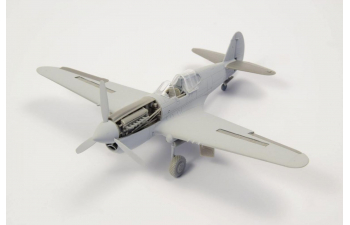 P-40E - Engine Set for Special Hobby kit