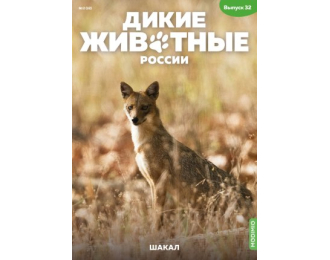 Дикие животные России № 32: Шакал