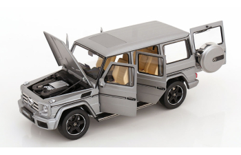 MERCEDES-BENZ G-Klasse W463 Designo (2015), matt-silver