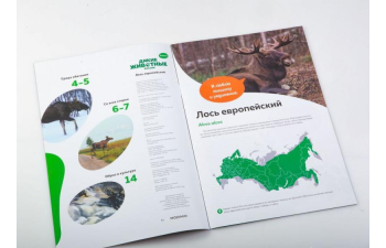 Дикие животные России № 11: Лось