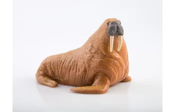 Дикие животные России № 21: Морж