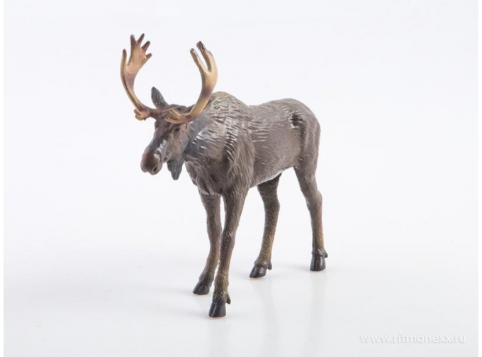 Дикие животные России № 11: Лось (только вложение)