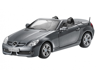 MERCEDES-BENZ SLK-Class Roadster R171 (2008), silver palladium