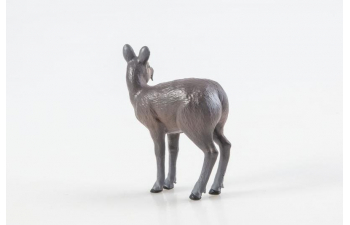 Дикие животные России № 19: Кабарга (только вложение)