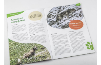 Дикие животные России № 12: Снежный барс