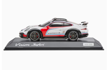 PORSCHE 911 991 Coupe №5 Vision safari martini racing livery (2012)