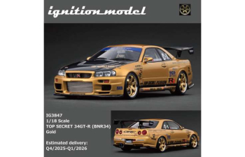 NISSAN Skyline TOP SECRET 34GT-R (BNR34), gold