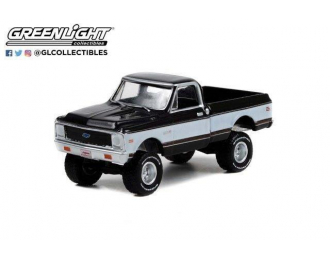 CHEVROLET K10 4X4 Pick-up (Lot #1027) (1972) Gray/White/Black Interior