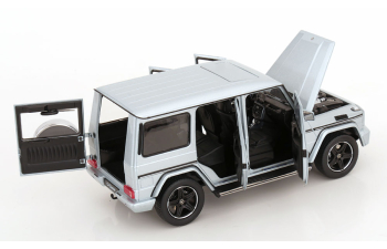 MERCEDES-BENZ G-Klasse W463 (2015), silver