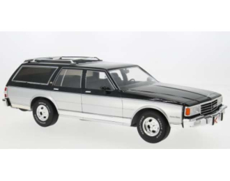 CHEVROLET Caprice Estate Wagon (1985), silver/grey