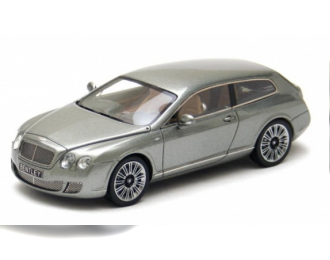 BENTLEY Continental Flying Star by Touring (2010), grey