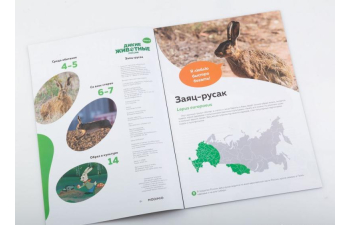 Дикие животные России № 10: Заяц русак