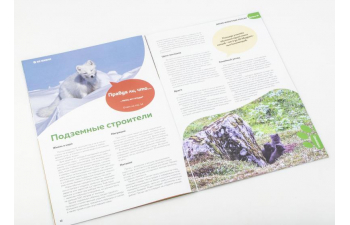 Дикие животные России № 18: Песец