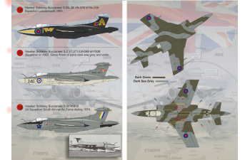 Blackburn Buccaneer Wet decal