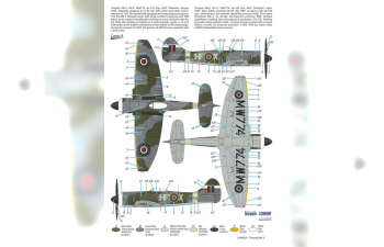 Сборная модель Tempest Mk.II ‘Hi-Tech’